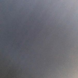 Meet your Posher, Gavin